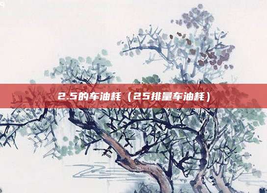 2.5的车油耗(25排量车油耗)