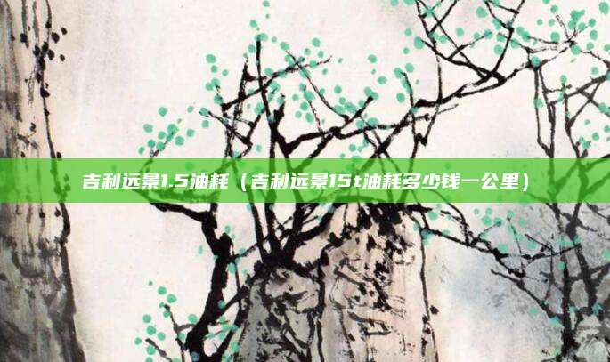 吉利远景1.5油耗(吉利远景15t油耗多少钱一公里)