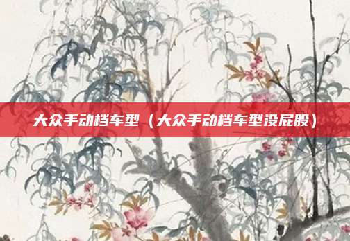 大众手动档车型(大众手动档车型没屁股)