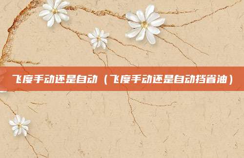 飞度手动还是自动(飞度手动还是自动挡省油)