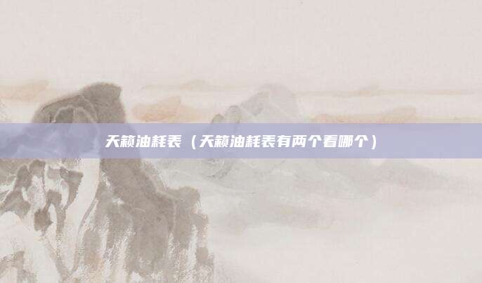 天籁油耗表(天籁油耗表有两个看哪个)