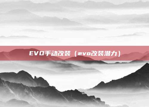 EVO手动改装(evo改装潜力)