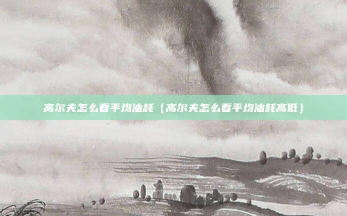 高尔夫怎么看平均油耗(高尔夫怎么看平均油耗高低)