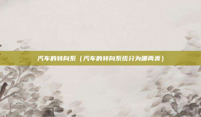 汽车的转向系(汽车的转向系统分为哪两类)