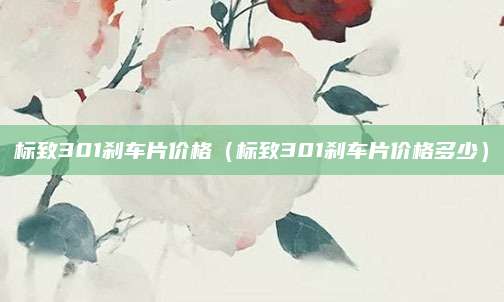 标致301刹车片价格(标致301刹车片价格多少)