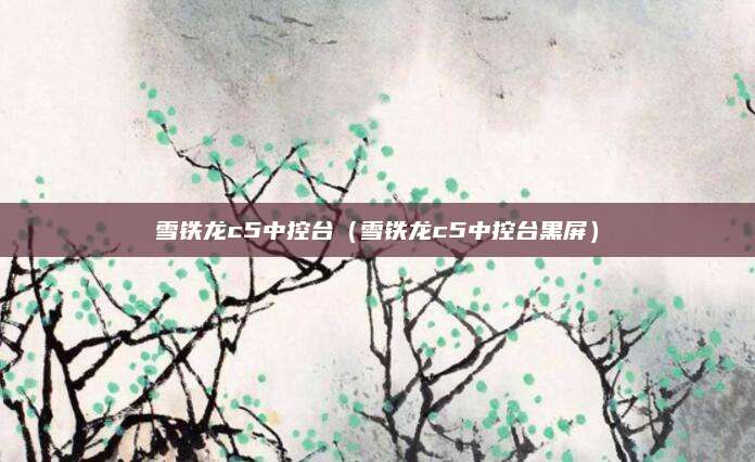 雪铁龙c5中控台(雪铁龙c5中控台黑屏)