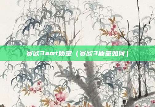 赛欧3amt质量(赛欧3质量如何)