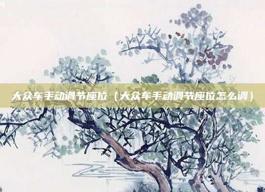 大众车手动调节座位(大众车手动调节座位怎么调)