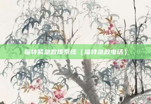 福特紧急救援系统(福特急救电话)