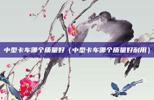 中型卡车哪个质量好(中型卡车哪个质量好耐用)