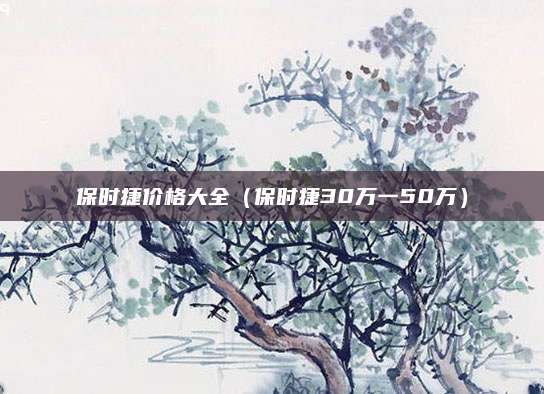 保时捷价格大全(保时捷30万一50万)