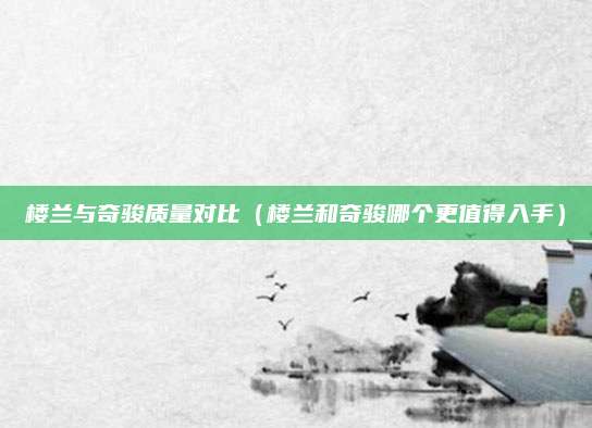 楼兰与奇骏质量对比(楼兰和奇骏哪个更值得入手)