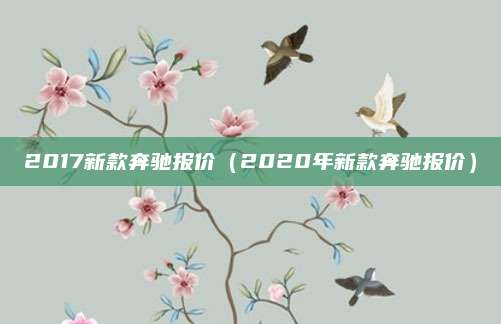 2017新款奔驰报价(2020年新款奔驰报价)