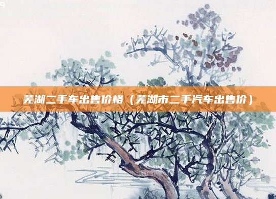 芜湖二手车出售价格(芜湖市二手汽车出售价)