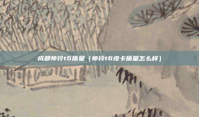 成都帅铃t6质量(帅铃t6皮卡质量怎么样)