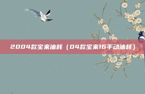 2004款宝来油耗(04款宝来16手动油耗)