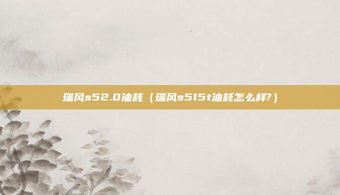 瑞风s52.0油耗(瑞风s515t油耗怎么样?)