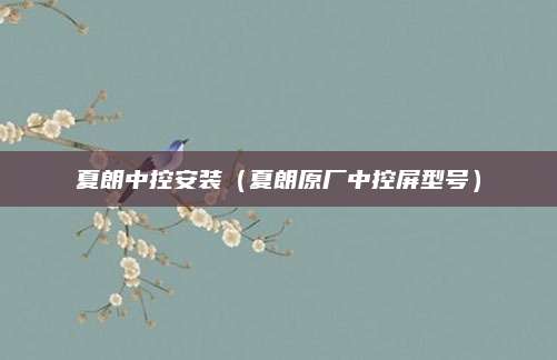 夏朗中控安装(夏朗原厂中控屏型号)