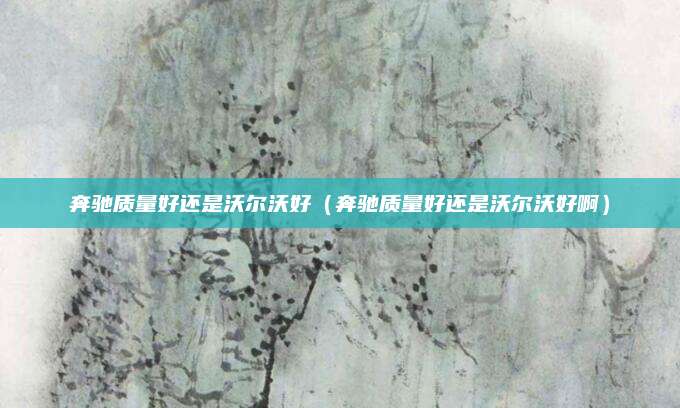 奔驰质量好还是沃尔沃好（奔驰质量好还是沃尔沃好啊）