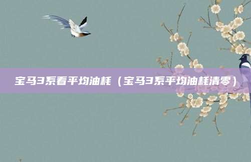 宝马3系看平均油耗(宝马3系平均油耗清零)