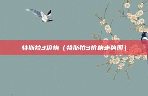 特斯拉3价格(特斯拉3价格走势图)