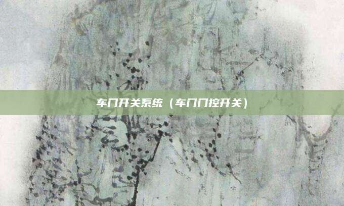 车门开关系统(车门门控开关)