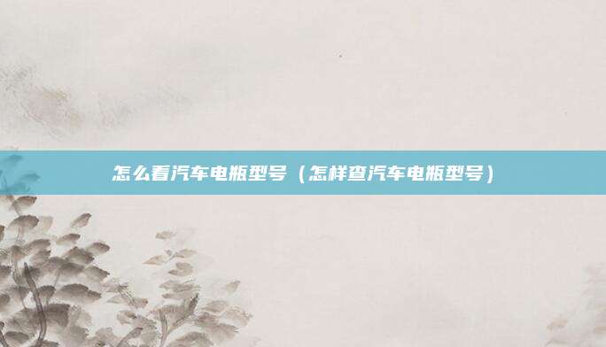 怎么看汽车电瓶型号(怎样查汽车电瓶型号)