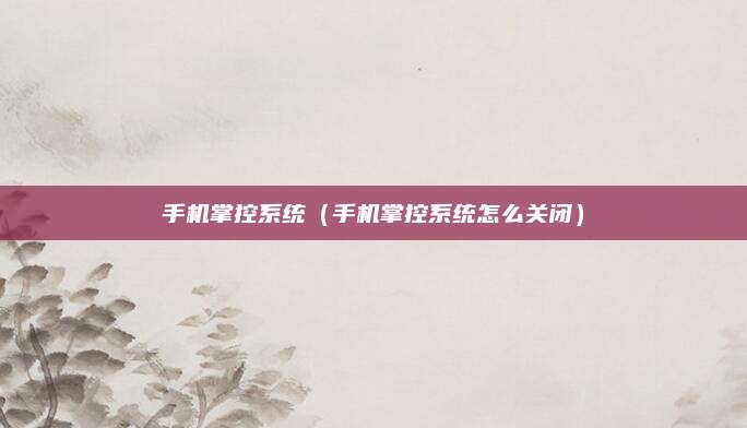 手机掌控系统(手机掌控系统怎么关闭)