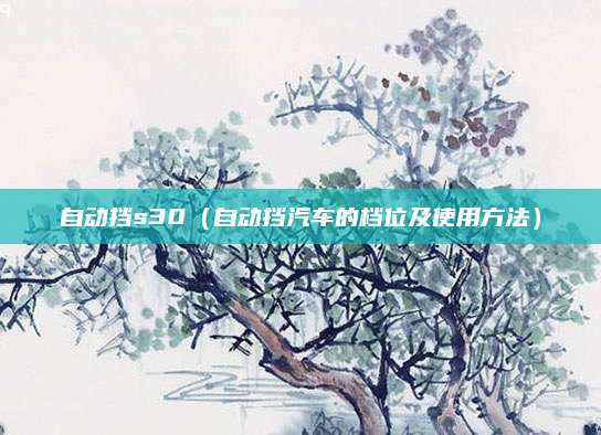 自动挡s30(自动挡汽车的档位及使用方法)