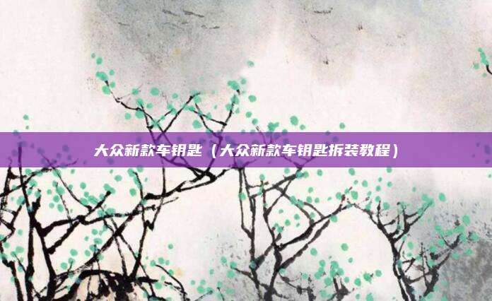 大众新款车钥匙(大众新款车钥匙拆装教程)