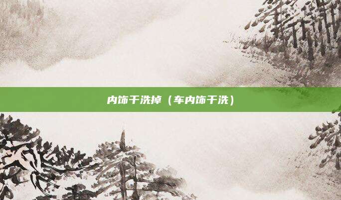 内饰干洗掉(车内饰干洗)