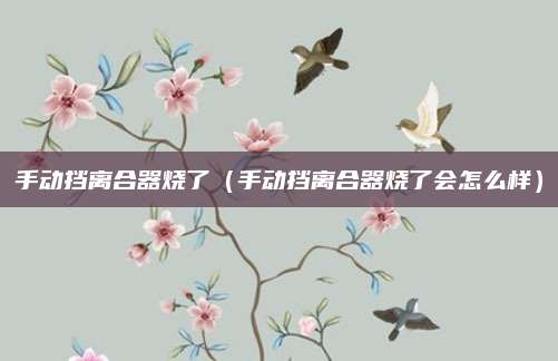 手动挡离合器烧了(手动挡离合器烧了会怎么样)