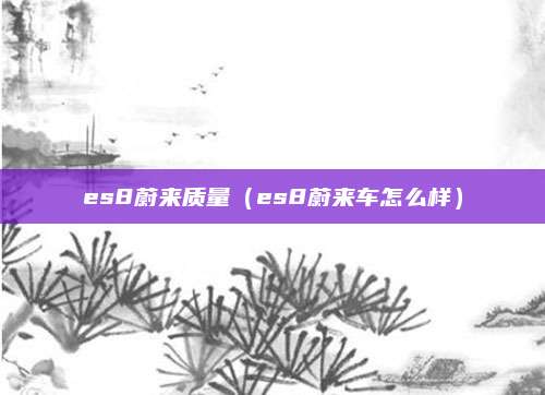 es8蔚来质量(es8蔚来车怎么样)