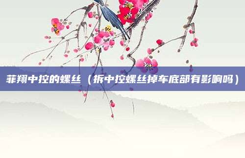 菲翔中控的螺丝(拆中控螺丝掉车底部有影响吗)