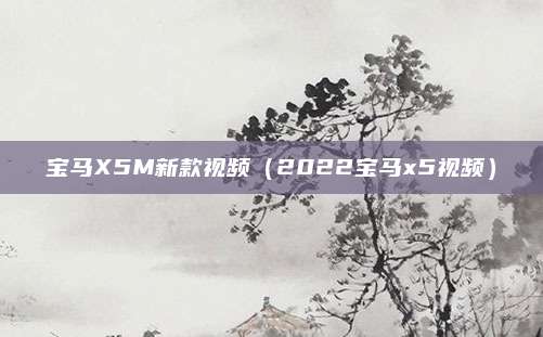 宝马X5M新款视频(2022宝马x5视频)