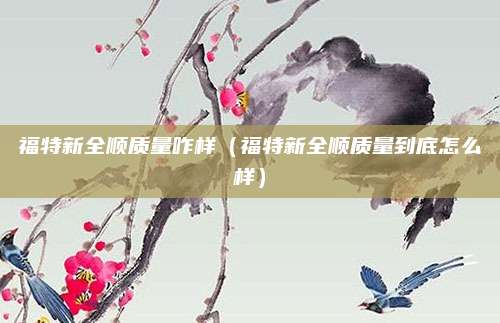 福特新全顺质量咋样(福特新全顺质量到底怎么样)