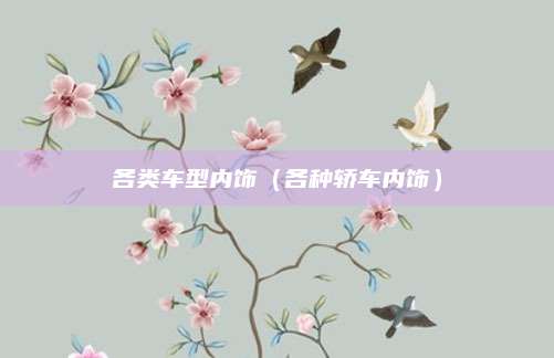各类车型内饰(各种轿车内饰)