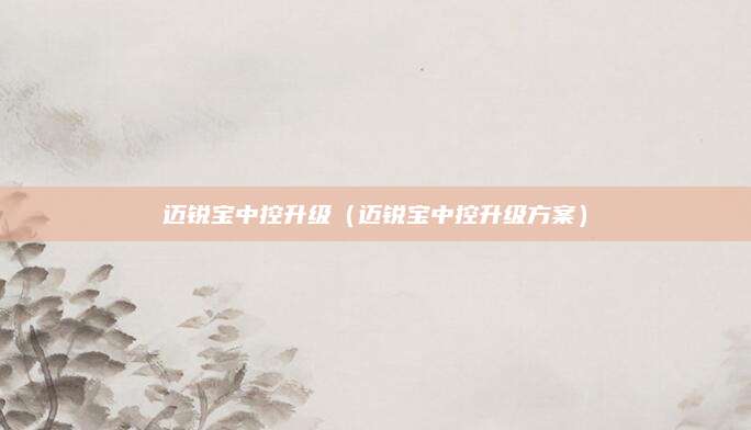 迈锐宝中控升级(迈锐宝中控升级方案)