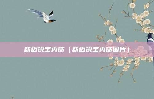 新迈锐宝内饰(新迈锐宝内饰图片)