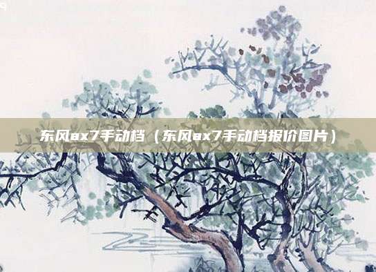 东风ax7手动档(东风ax7手动档报价图片)