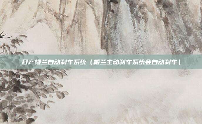 日产楼兰自动刹车系统(楼兰主动刹车系统会自动刹车)