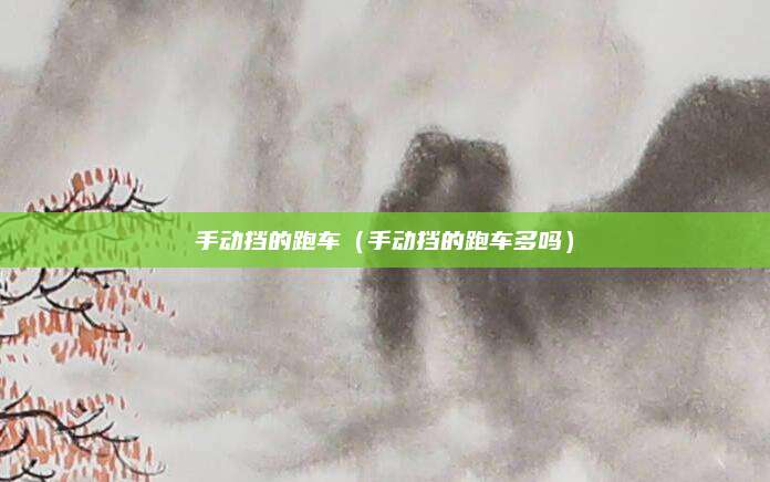 手动挡的跑车(手动挡的跑车多吗)