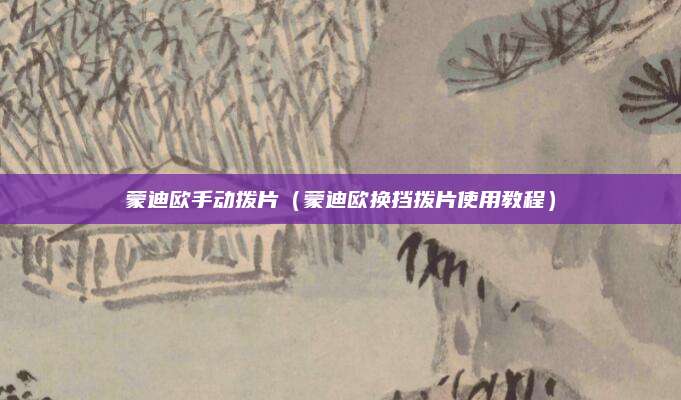 蒙迪欧手动拨片（蒙迪欧换挡拨片使用教程）
