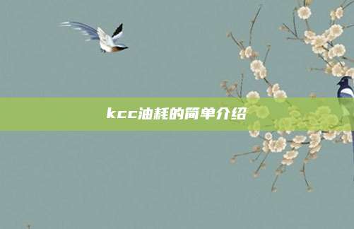 kcc油耗的简单介绍