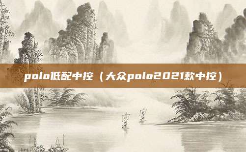polo低配中控(大众polo2021款中控)
