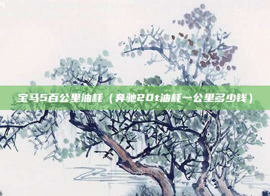 宝马5百公里油耗(奔驰20t油耗一公里多少钱)