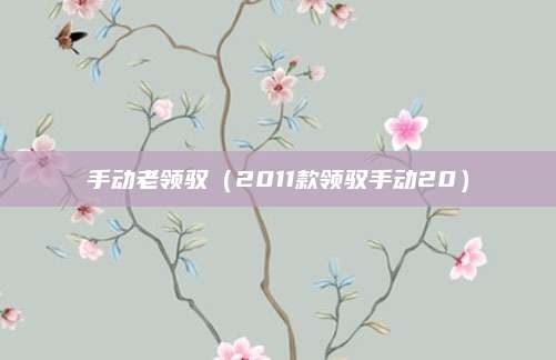 手动老领驭(2011款领驭手动20)