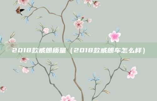 2018款威朗质量(2018款威朗车怎么样)