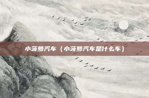 小菠萝汽车(小菠萝汽车是什么车)