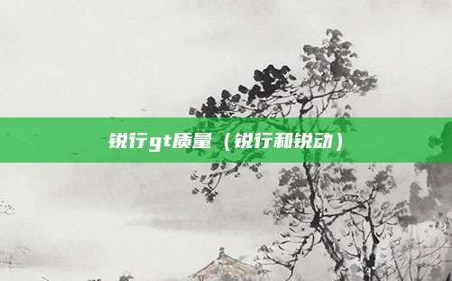 锐行gt质量(锐行和锐动)